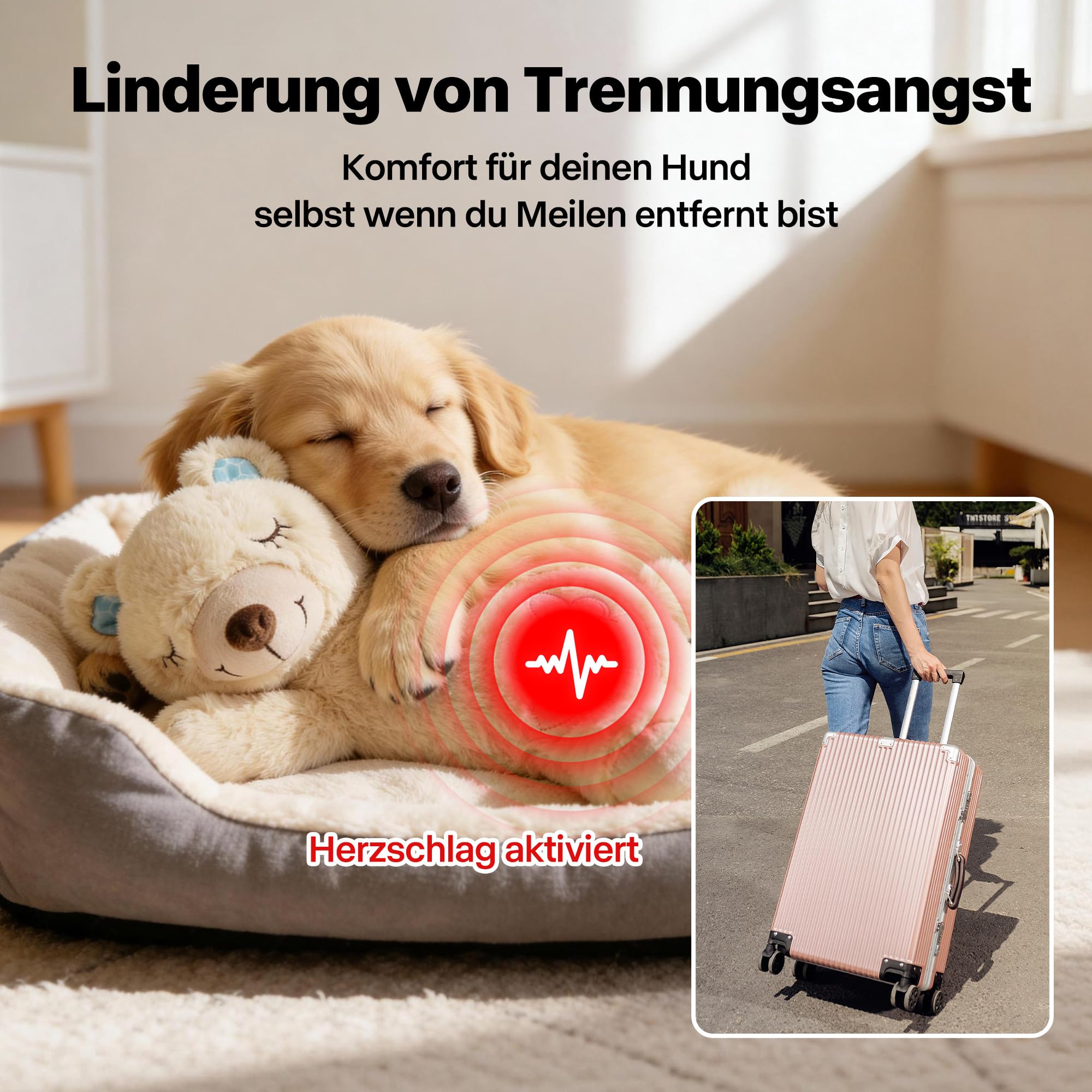 Pet Prime Hundeherzschlag Spielzeug Welpe Verhaltenshilfe Spielzeug Herzschlag Plüschtier für Haustier Plüsch Welpenspielzeug - Plüschbär (Bär mit Herzschlag)